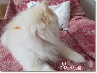 b0167519_23455813.gif