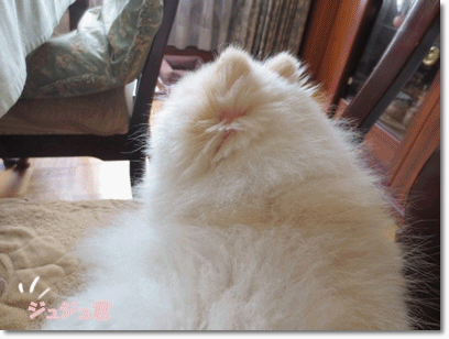 b0167519_23461135.gif