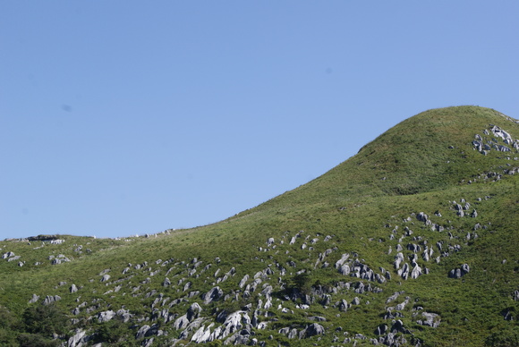 c0020320_21301448.jpg