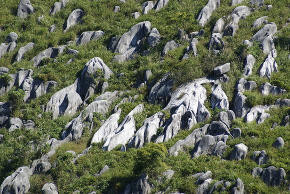 c0020320_21305773.jpg