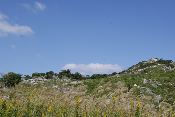 c0020320_21332121.jpg