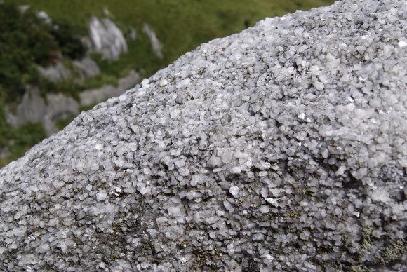 c0020320_2134815.jpg