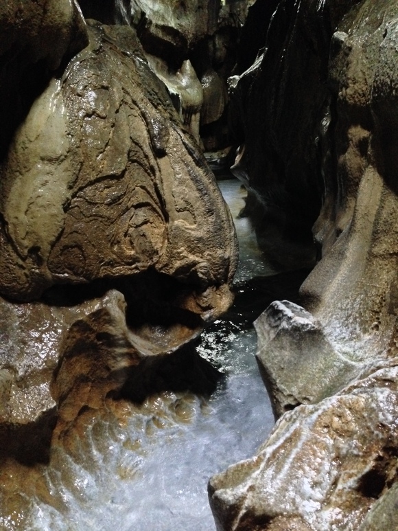 c0020320_21382914.jpg