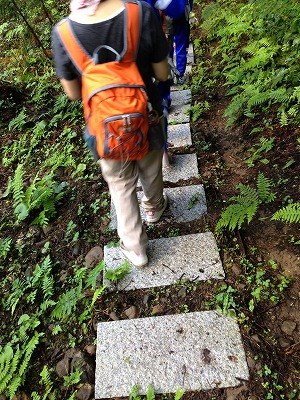 b0091423_16591627.jpg
