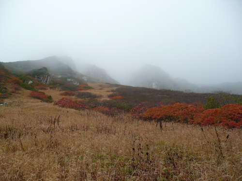 c0009528_22221861.jpg