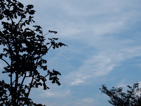 a0318033_991450.jpg