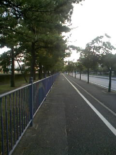 f0034334_2312991.jpg