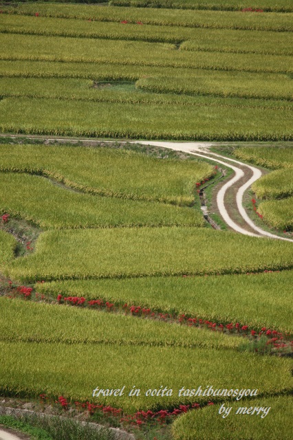 a0207736_23352826.jpg