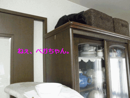 c0136736_14141745.gif