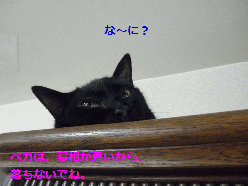 c0136736_14142446.gif