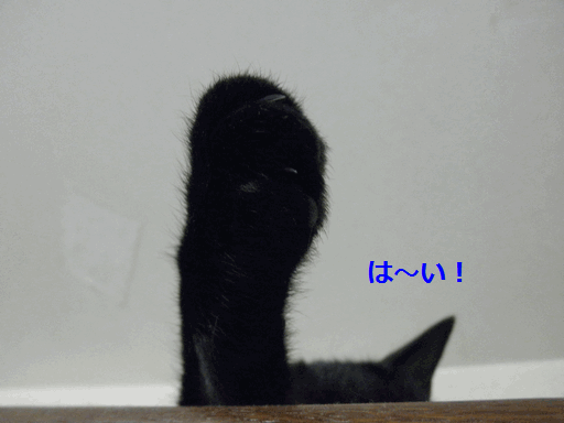 c0136736_14143220.gif