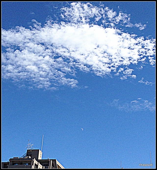 e0206242_0485114.jpg