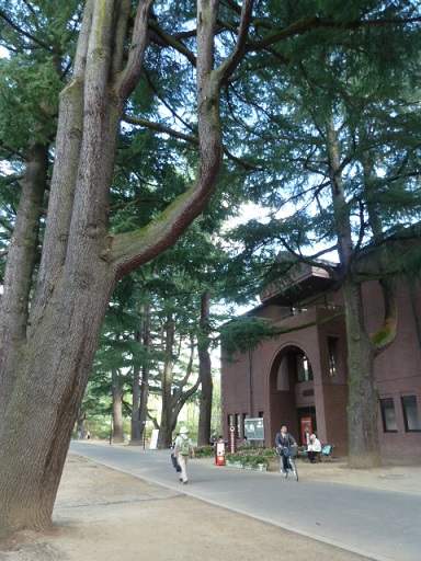 d0288144_10461257.jpg