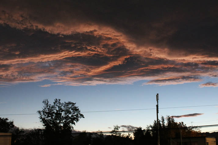 a0307547_140402.jpg