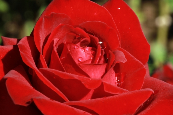 a0120949_72142.jpg