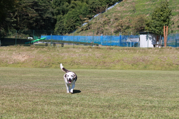 b0005652_16123760.jpg