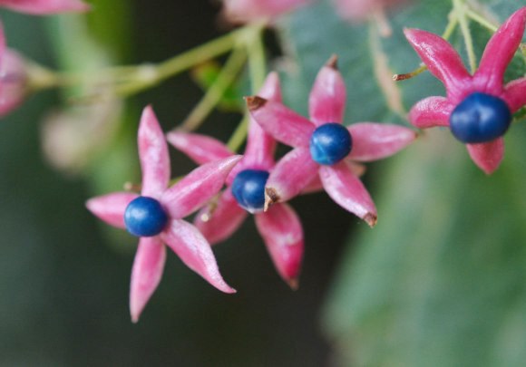 f0297861_2015395.jpg