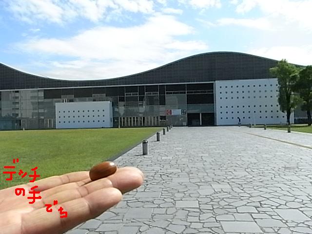 a0146070_5454474.jpg