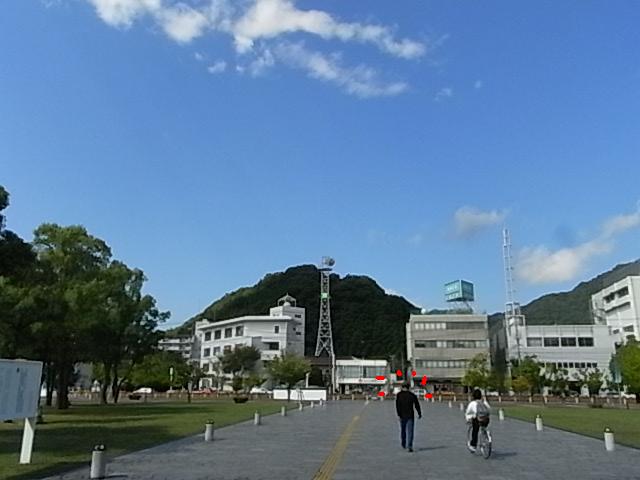 a0146070_585061.jpg