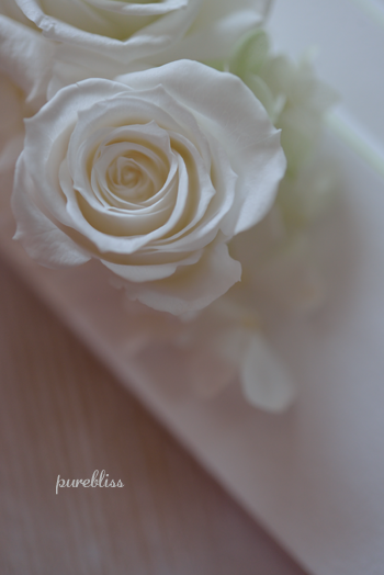 b0243873_19574716.png