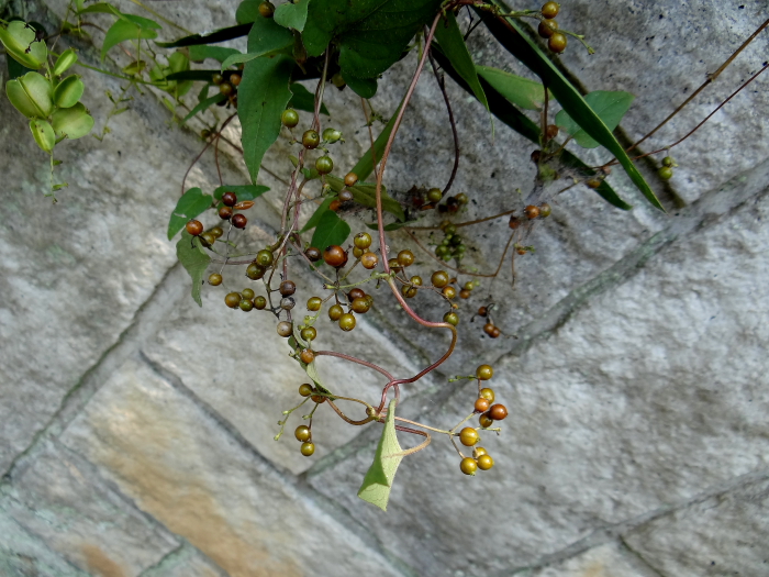 d0225575_14441597.jpg