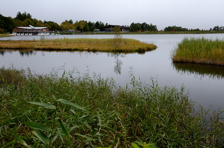 f0108478_1650305.jpg