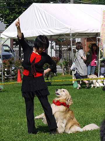 c0209379_20242723.jpg