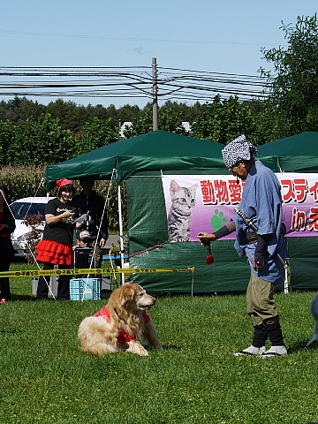 c0209379_20262997.jpg