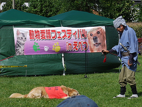c0209379_20282179.jpg