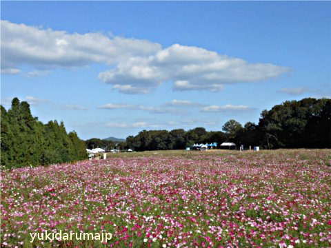 f0055380_1610135.jpg