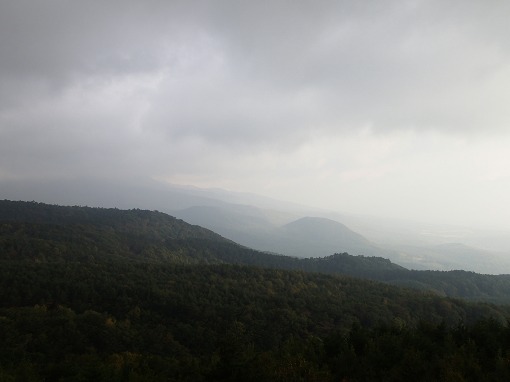 a0279883_92333.jpg