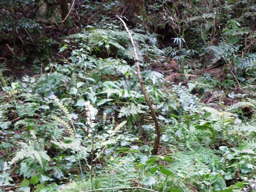 e0086885_20475138.jpg