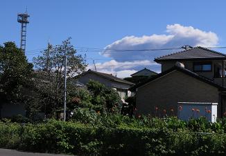 e0130185_14204946.jpg