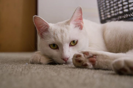 f0239100_22264269.jpg