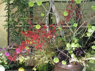 c0152002_109697.jpg
