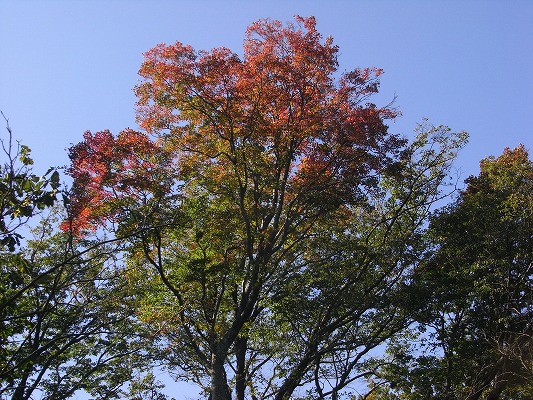 f0187402_23354045.jpg