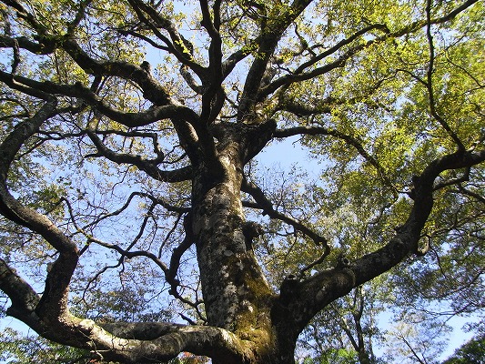 f0187402_23354784.jpg