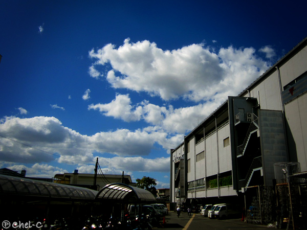 a0154706_9533081.jpg