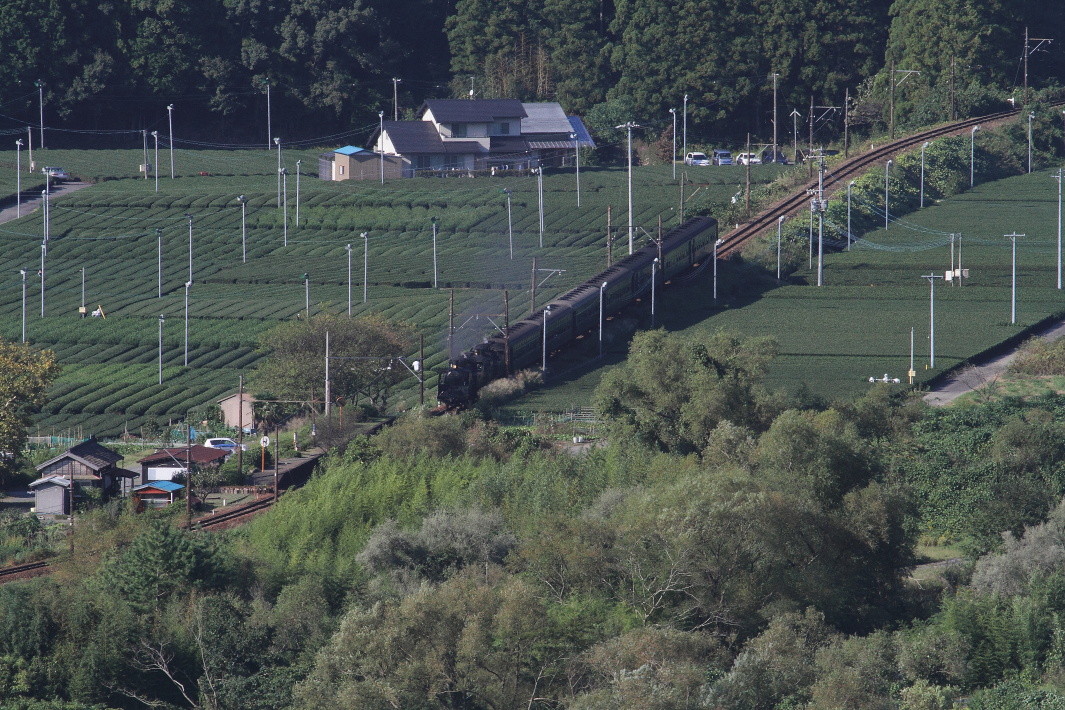 b0190710_21573333.jpg
