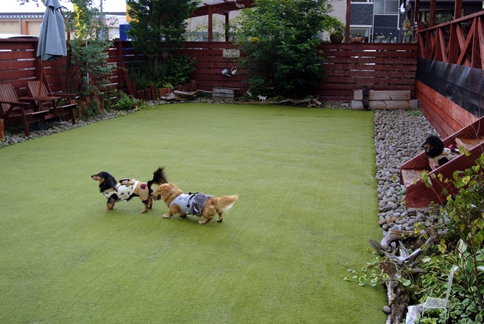 d0179113_22462680.jpg