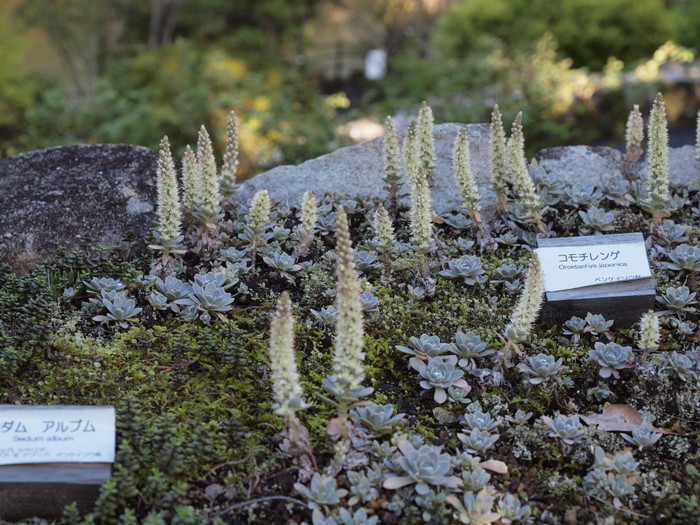 c0116915_0352716.jpg