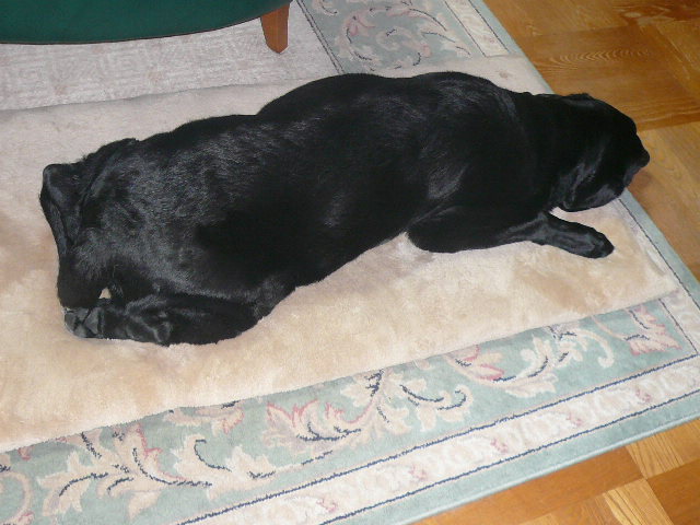 e0026017_12582911.jpg