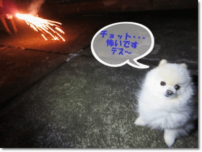 b0167519_21303978.gif