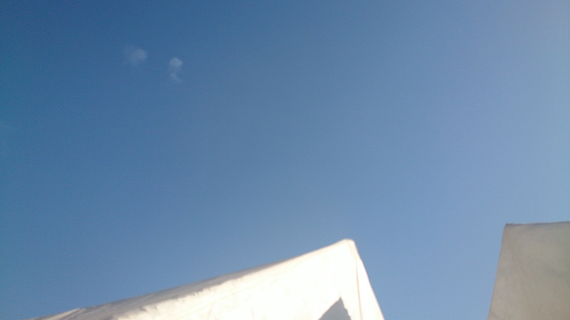 f0220919_1446147.jpg