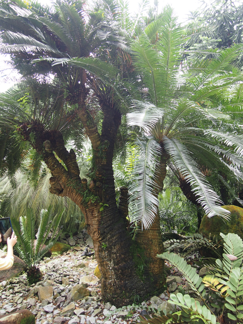 f0201320_0333296.jpg