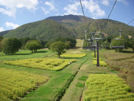 e0109622_1940235.jpg
