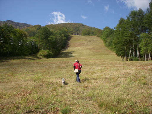 e0109622_1942371.jpg