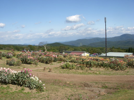 e0109622_2055593.jpg