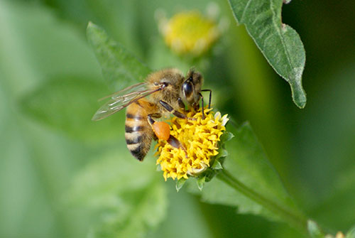 c0184125_11353790.jpg