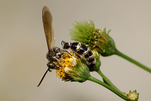 c0184125_11362055.jpg